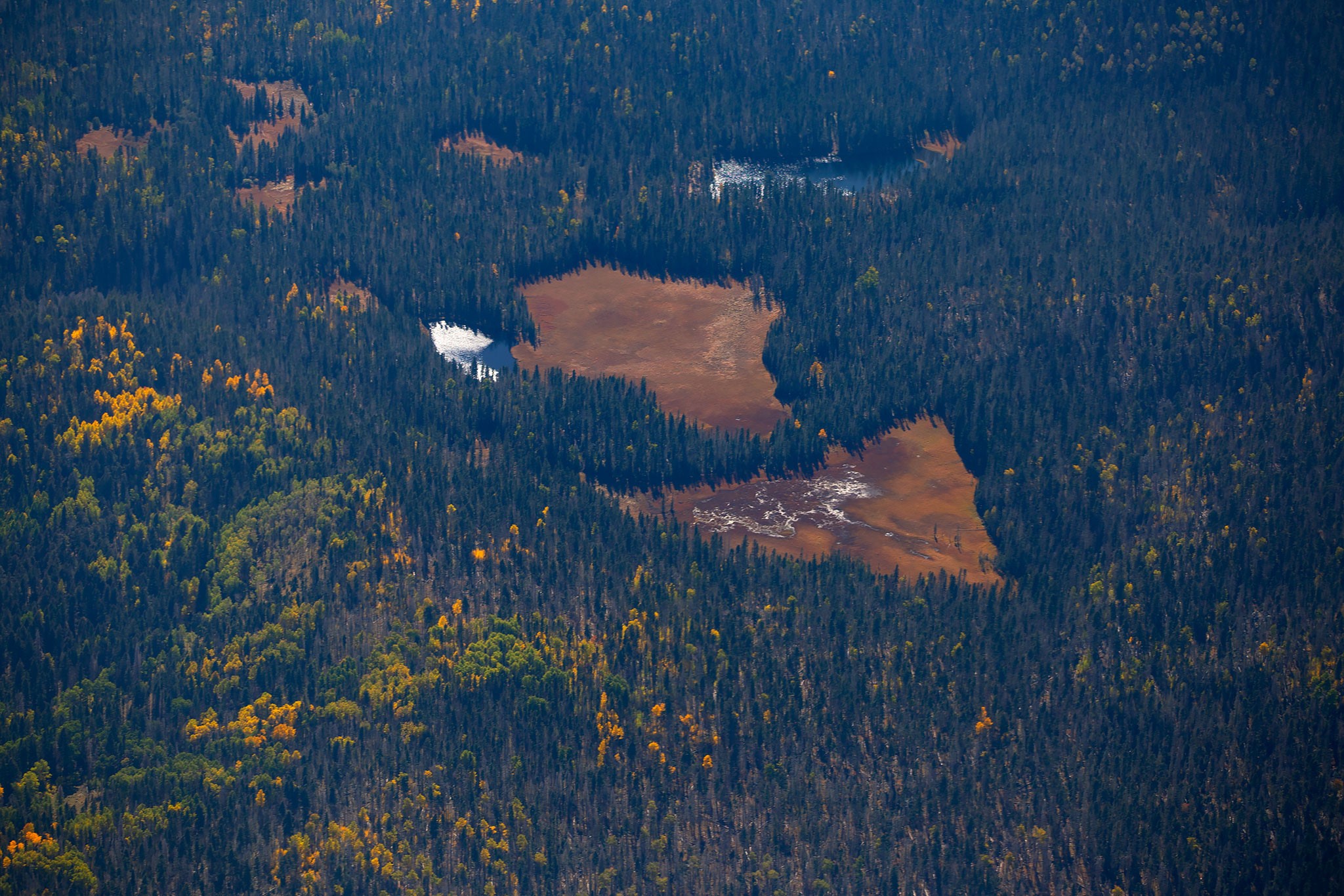 Angel Fire, New Mexico 87710, United States, ,Land,Active,154394