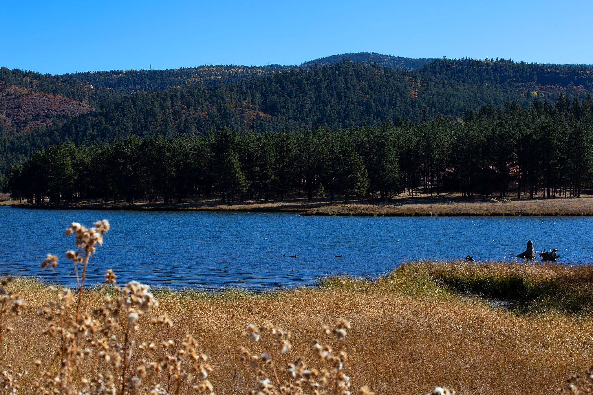 Angel Fire, New Mexico 87710, United States, ,Land,Active,154394