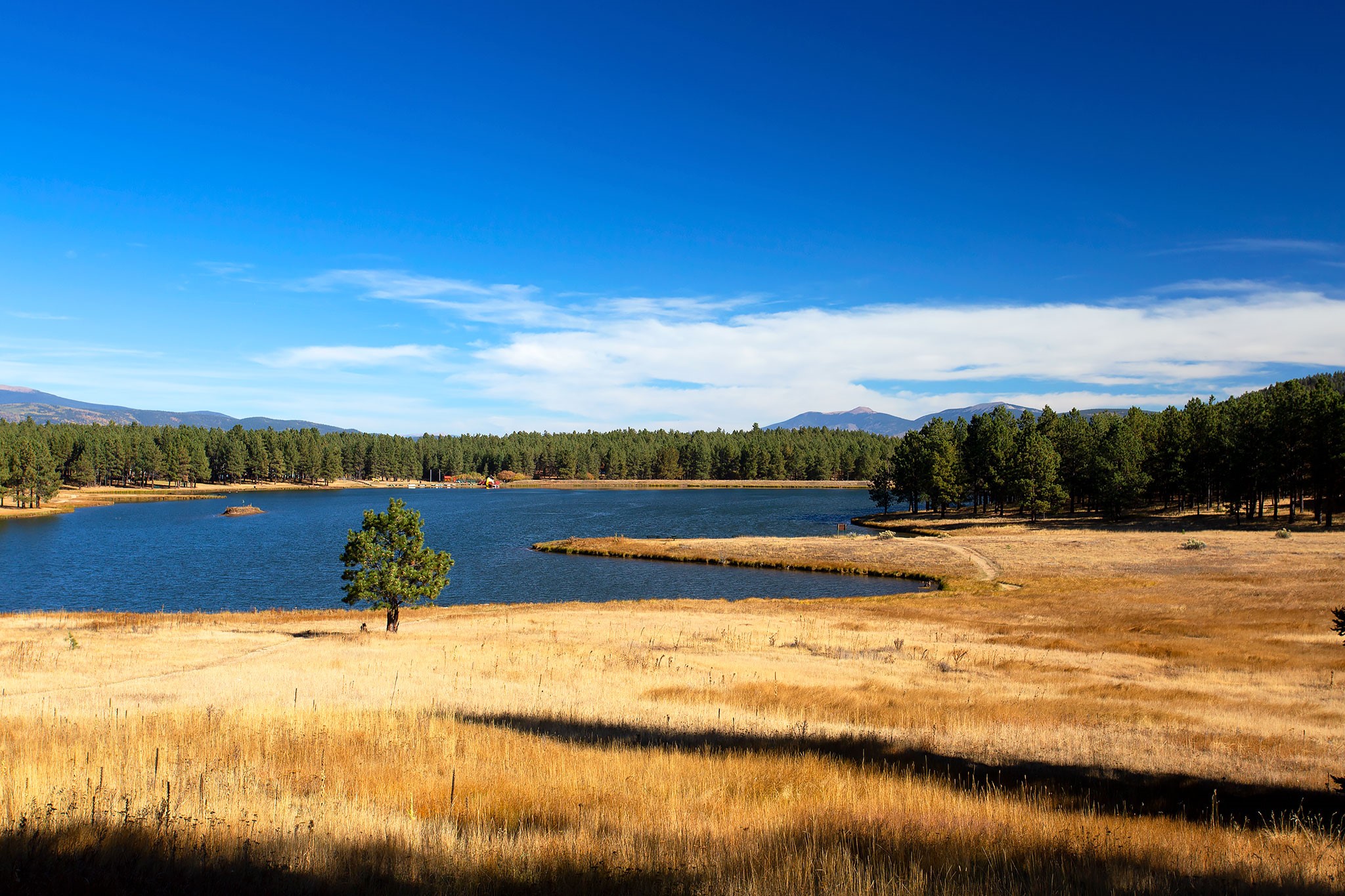 Angel Fire, New Mexico 87710, United States, ,Land,Active,154394