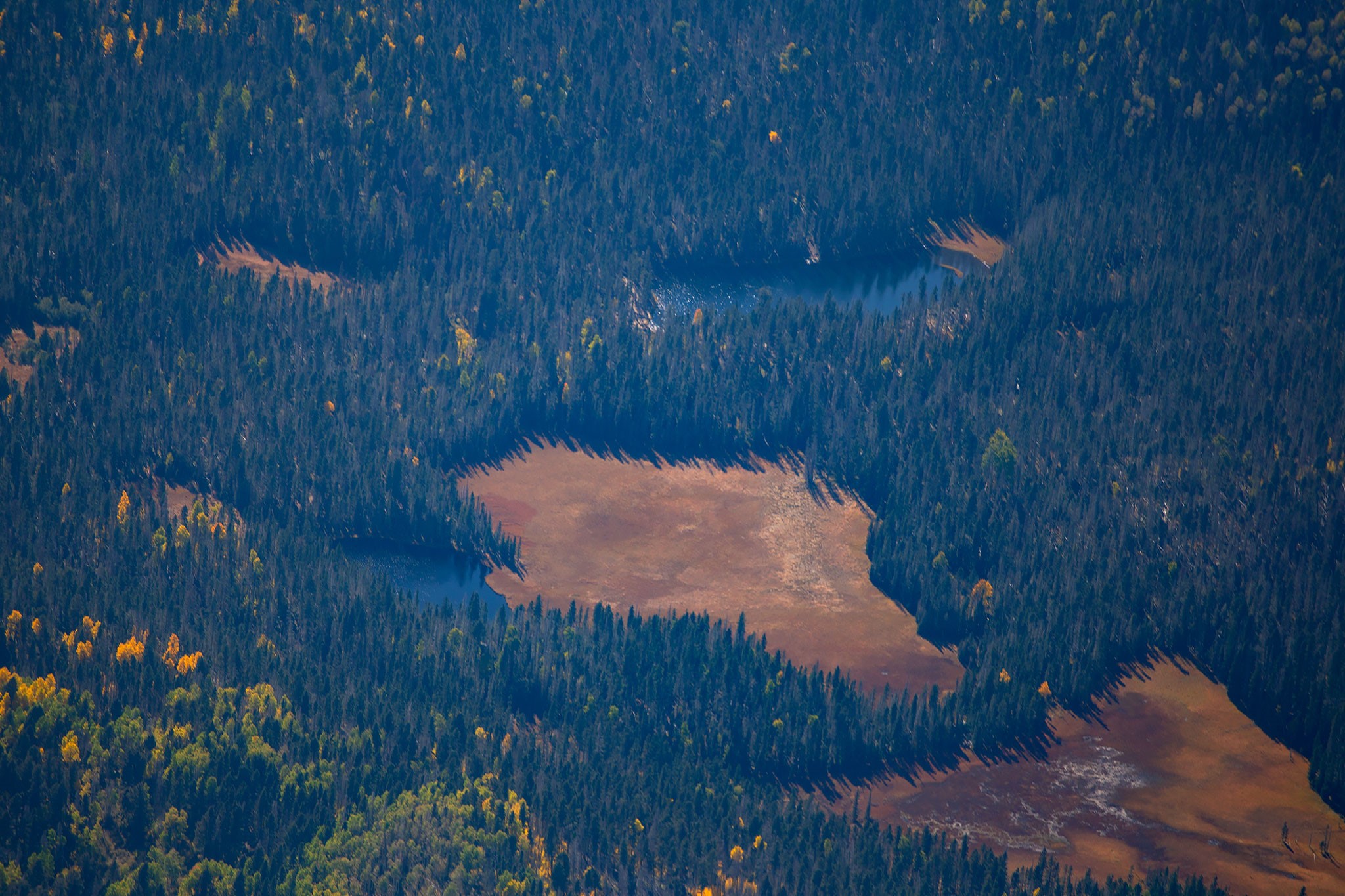 Angel Fire, New Mexico 87710, United States, ,Land,Active,154394