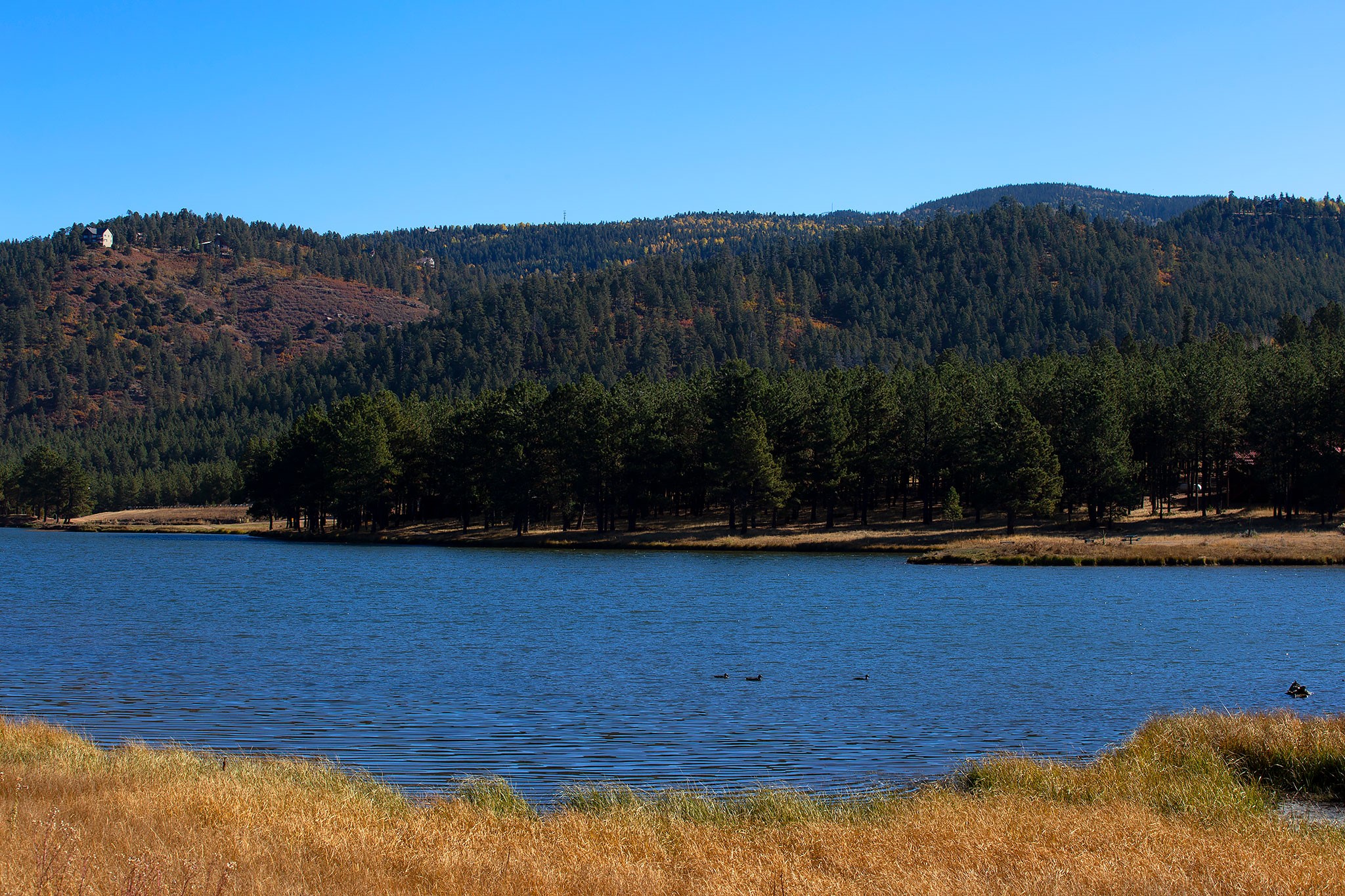 Angel Fire, New Mexico 87710, United States, ,Land,Active,154394