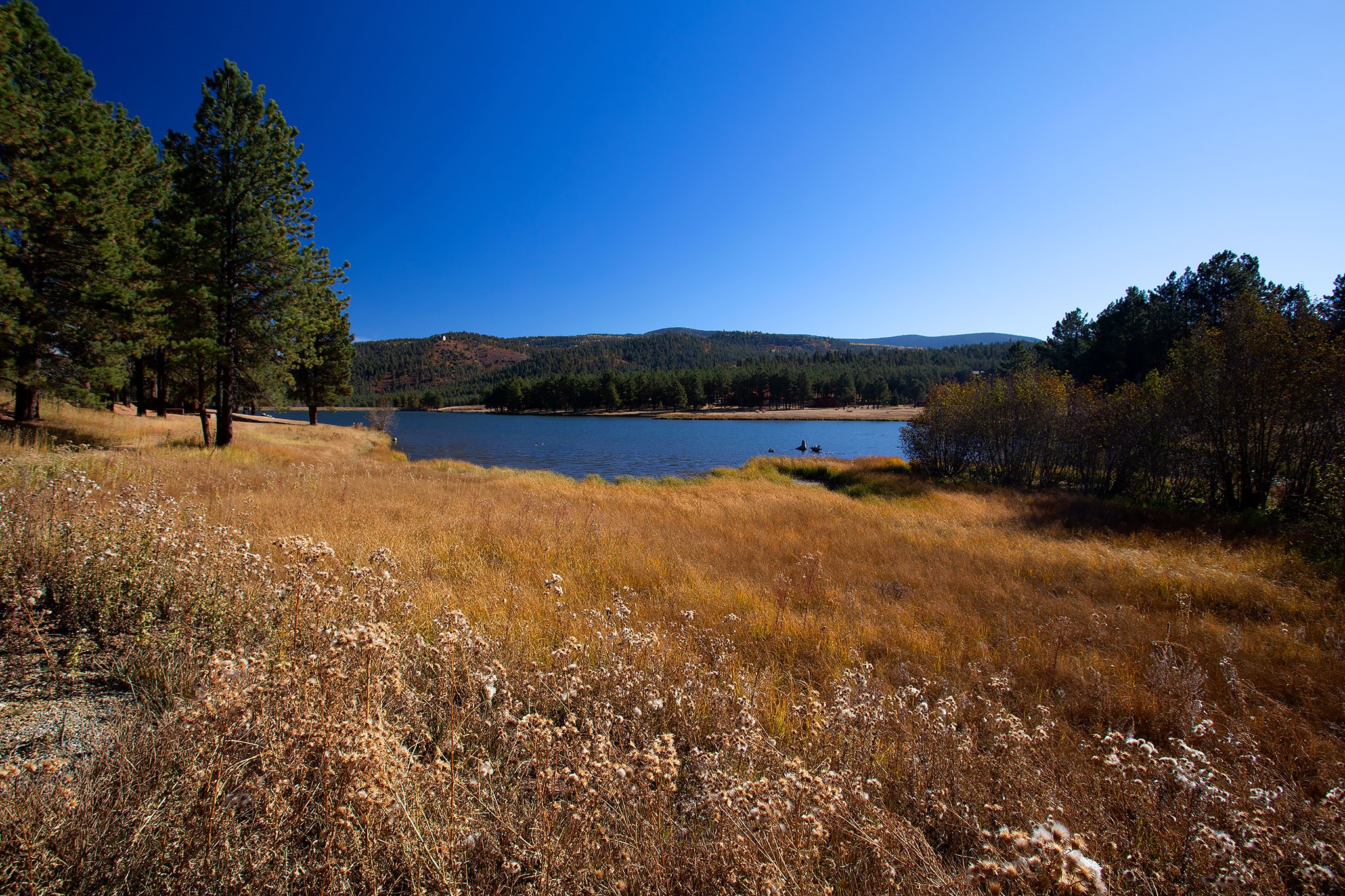 Angel Fire, New Mexico 87710, United States, ,Land,Active,154394