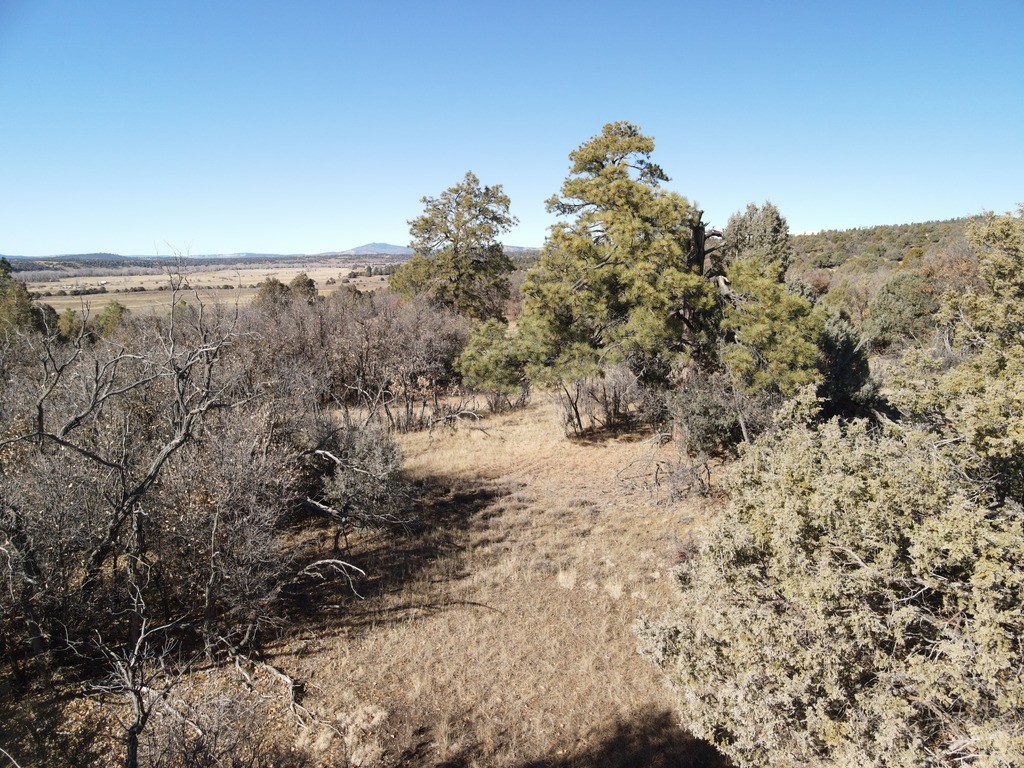 12 Oso Loop Loop, Chama, New Mexico image 28