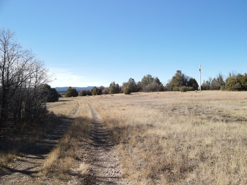 12 Oso Loop Loop, Chama, New Mexico image 19