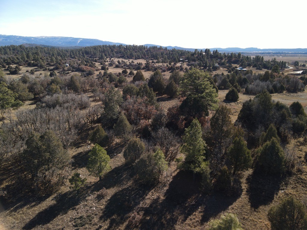 12 Oso Loop Loop, Chama, New Mexico image 2