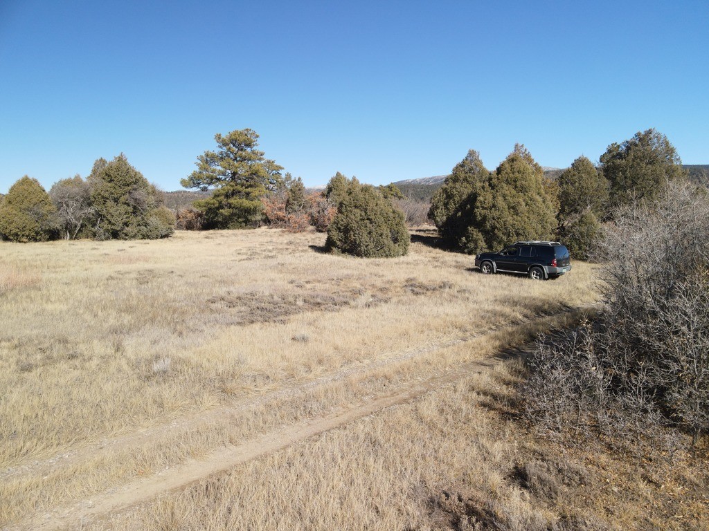 12 Oso Loop Loop, Chama, New Mexico image 16