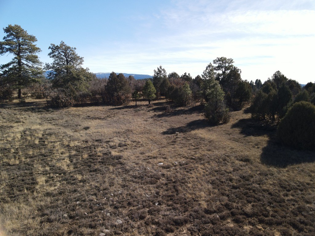 12 Oso Loop Loop, Chama, New Mexico image 26