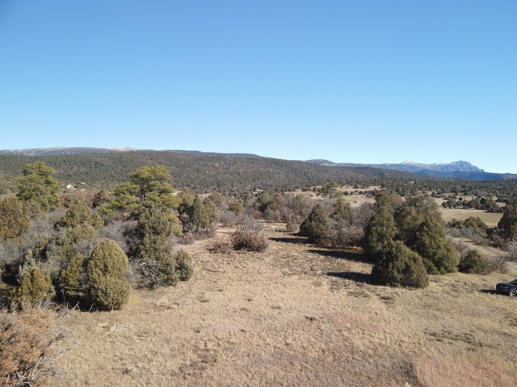 12 Oso Loop Loop, Chama, New Mexico image 24