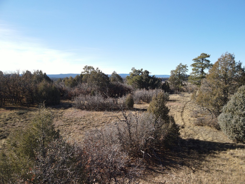 12 Oso Loop Loop, Chama, New Mexico image 27