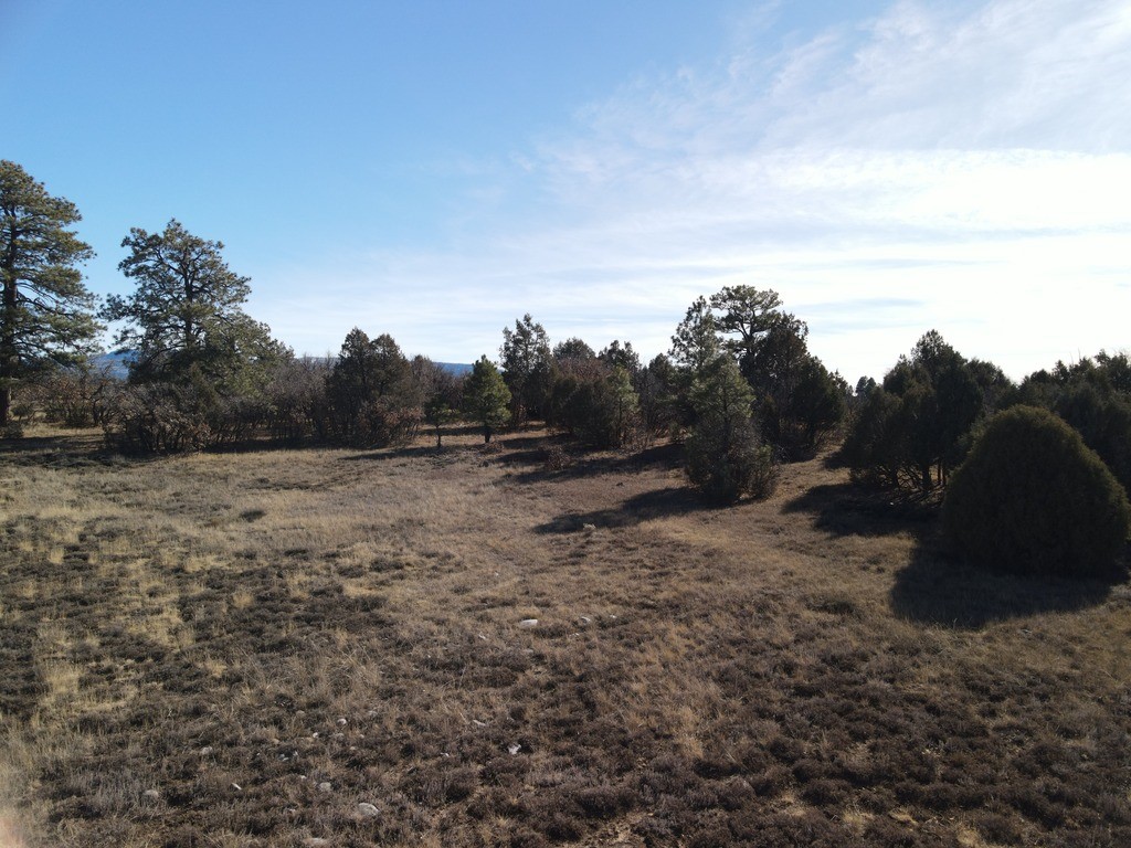 12 Oso Loop Loop, Chama, New Mexico image 25