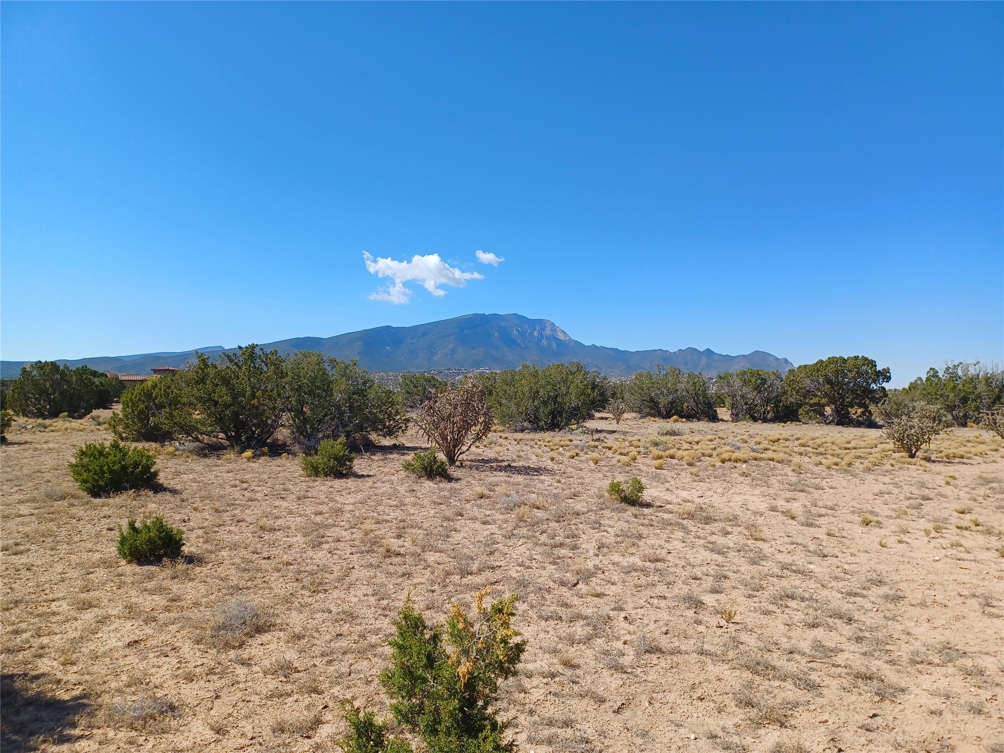 TBD lot 26 Palomino Road