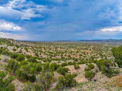 Tiny photo for 115 Waldo Mesa, Madrid, NM 87010 (MLS # 202403116)