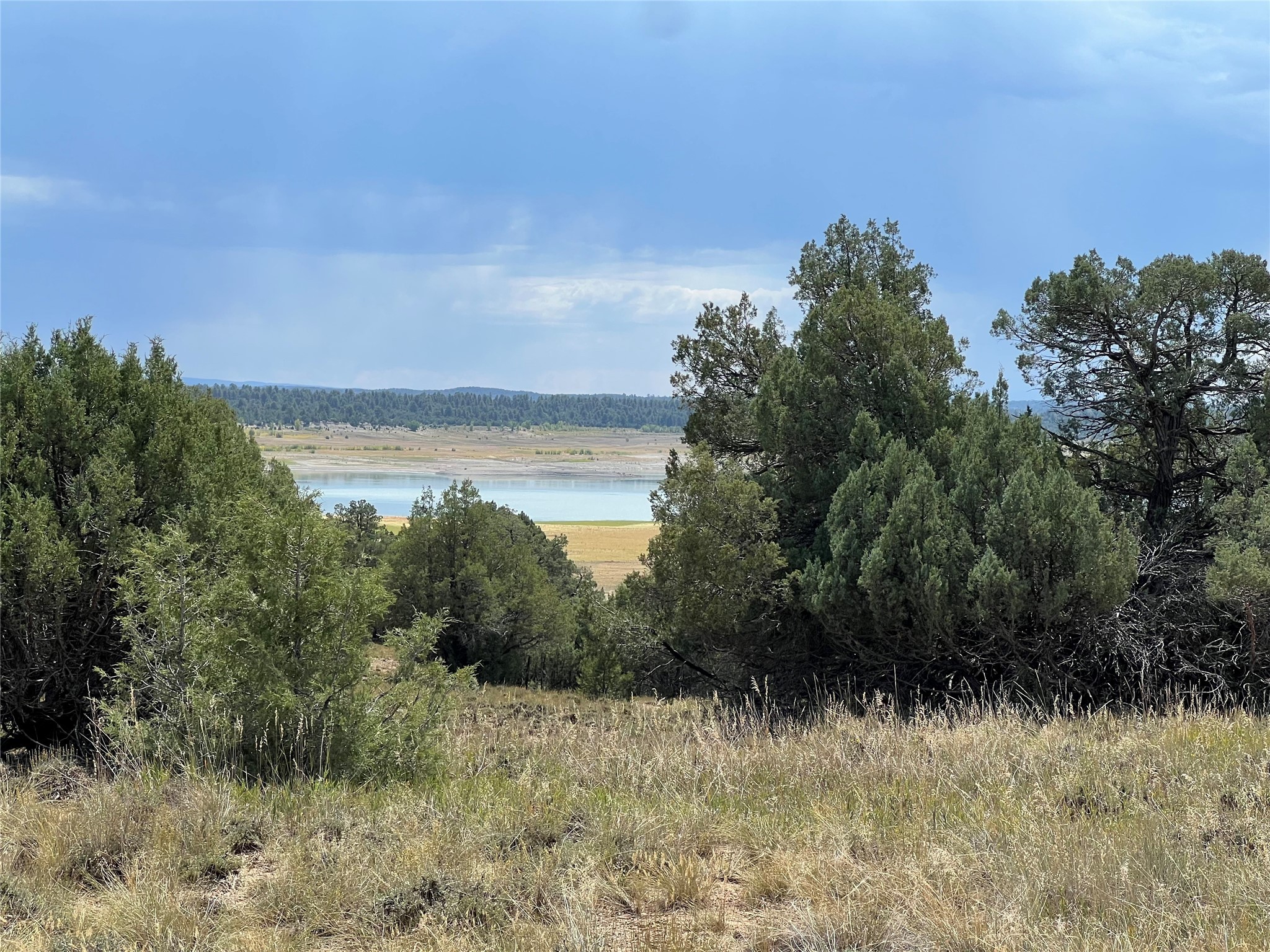 Vista Isla, Los Ojos, New Mexico image 1