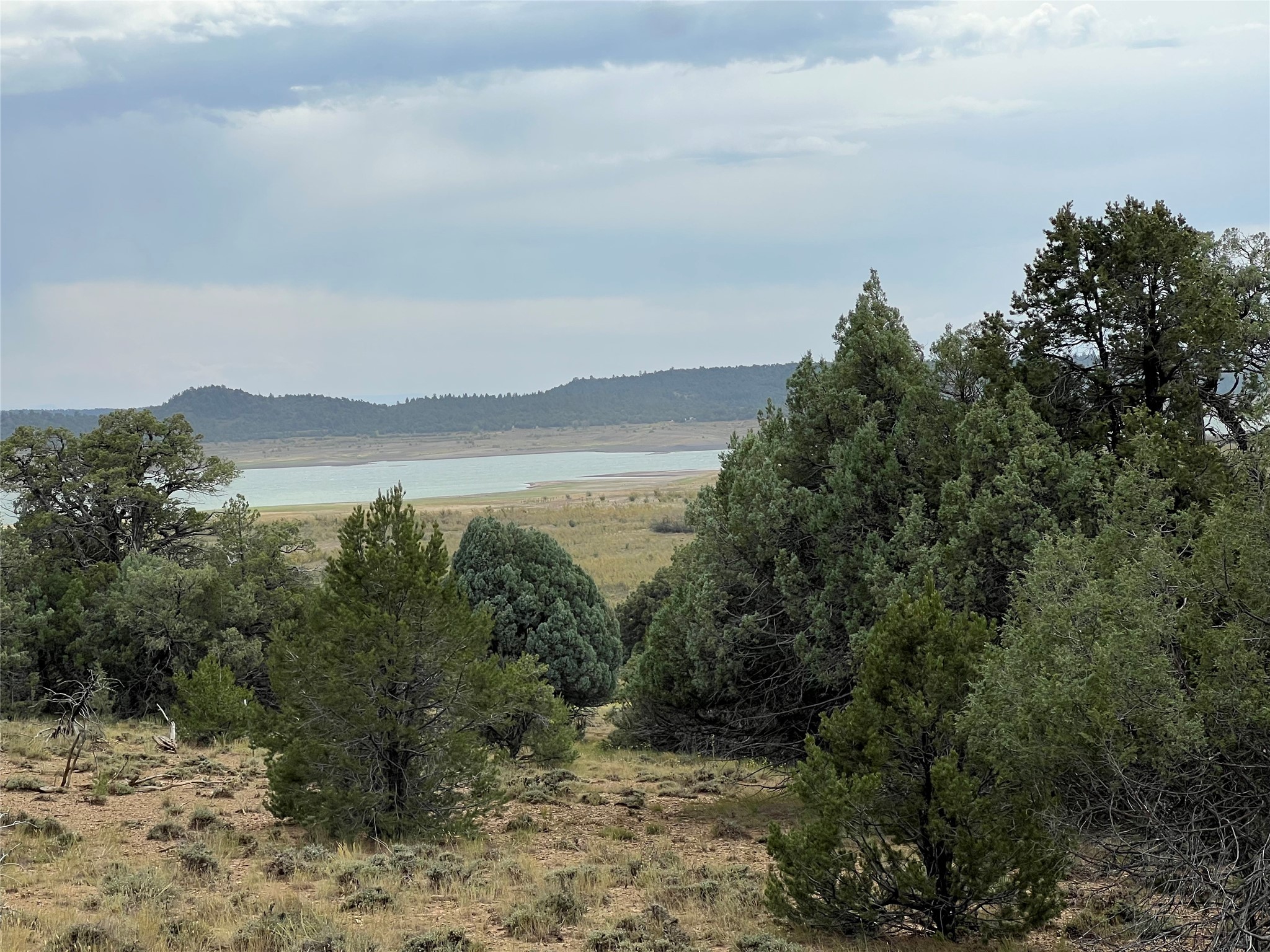 Vista Isla, Los Ojos, New Mexico image 3