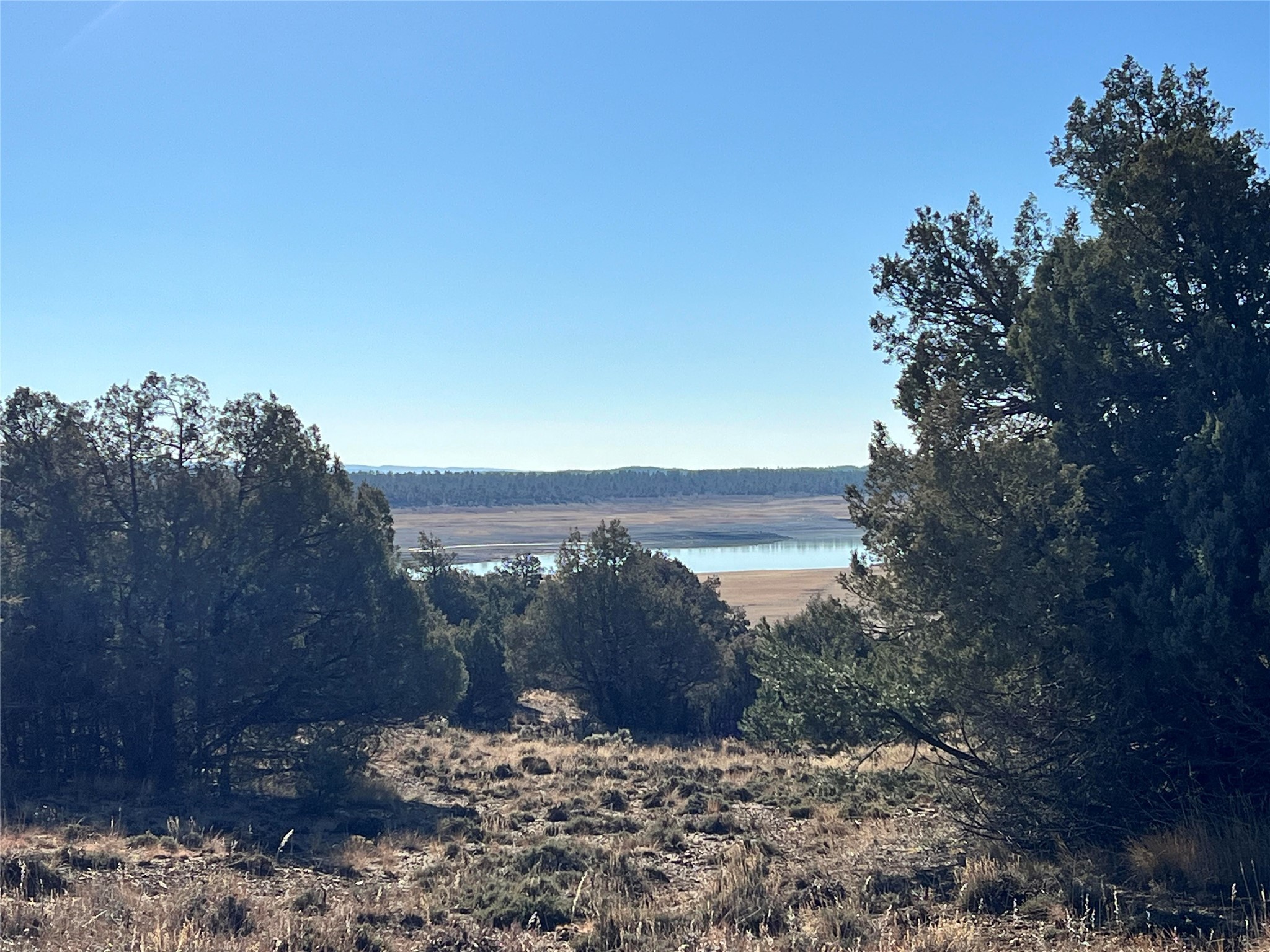 Vista Isla, Los Ojos, New Mexico image 4