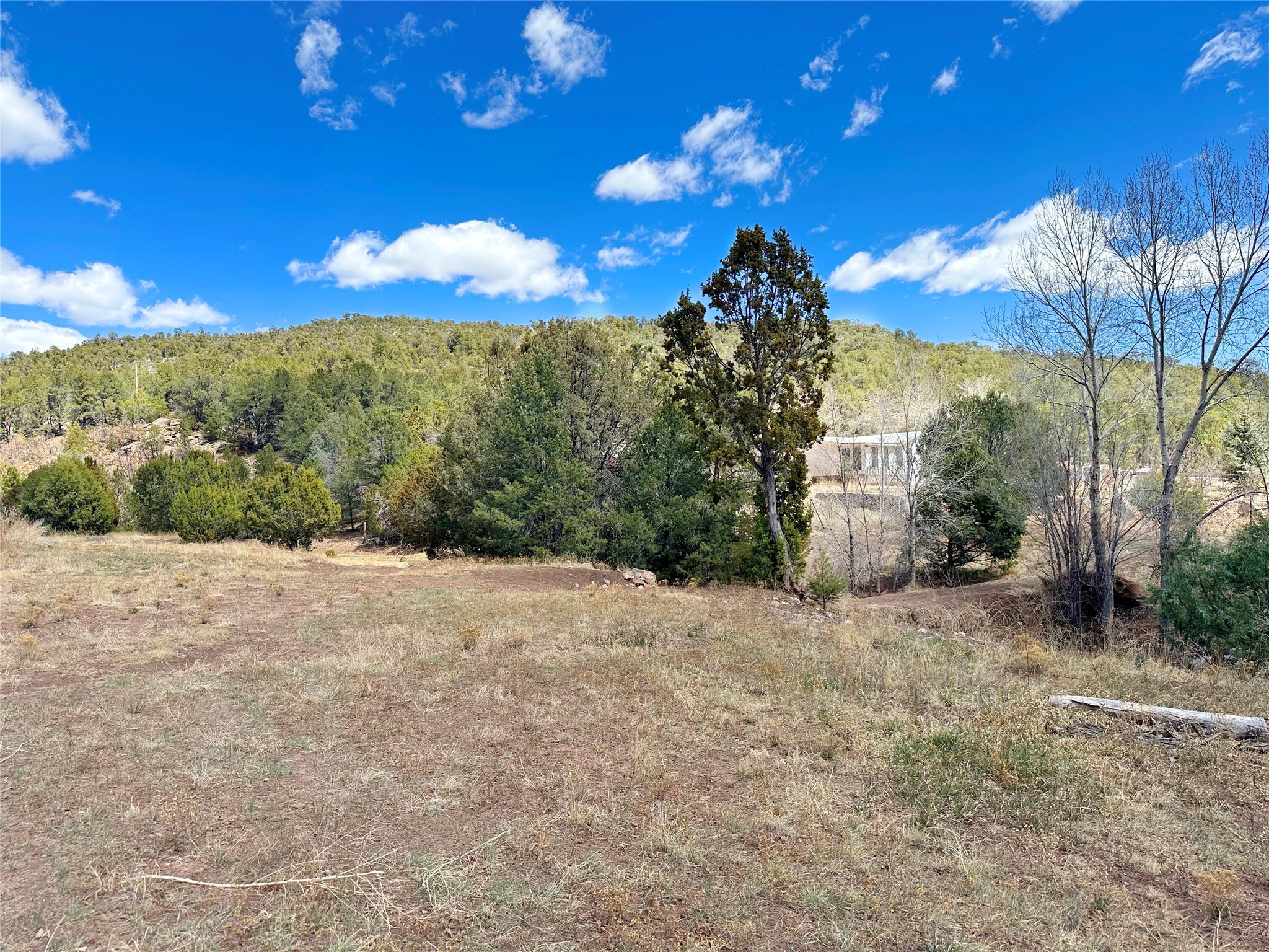 53 County Road B44c, Pecos, New Mexico image 32