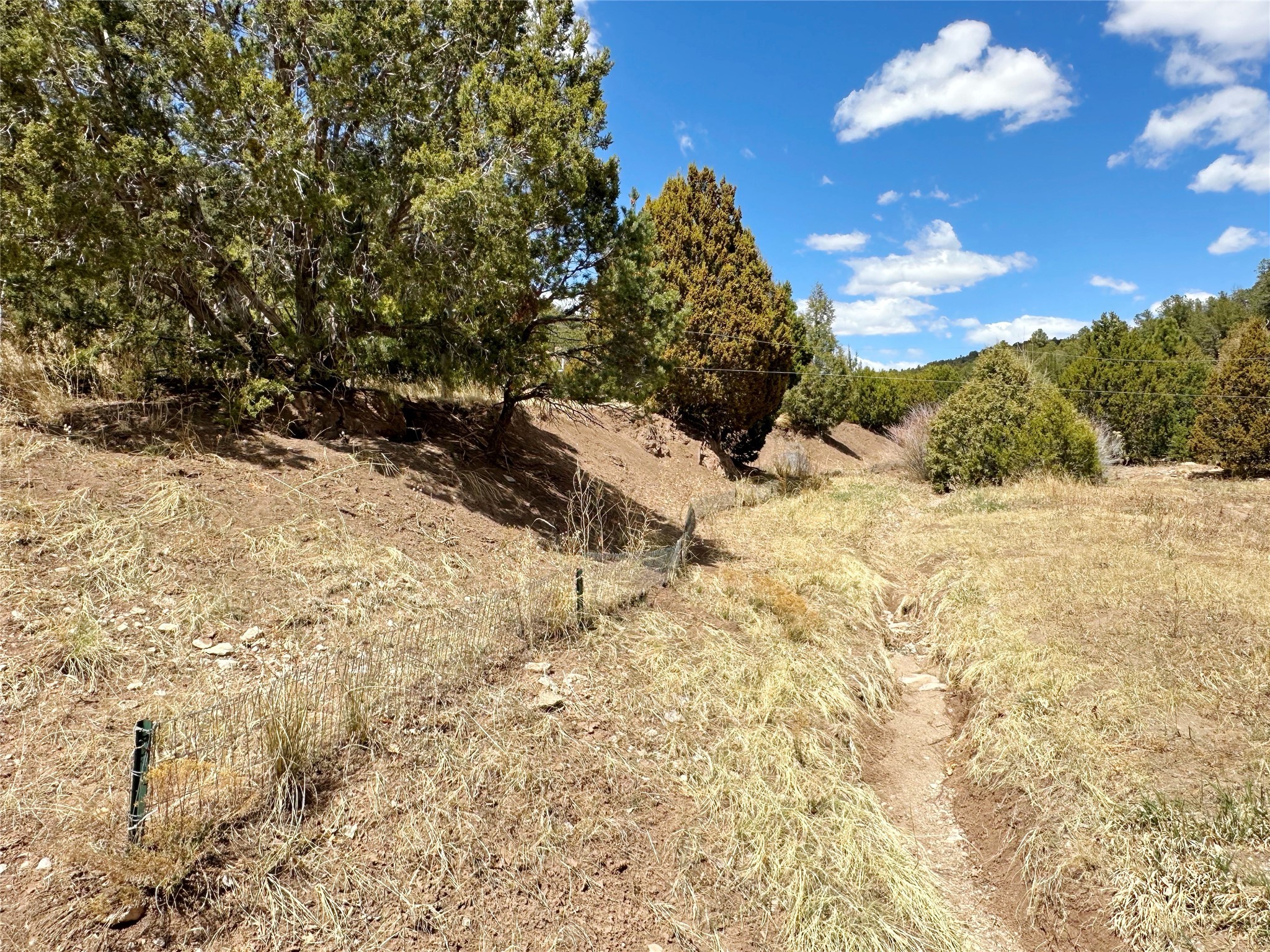 53 County Road B44c, Pecos, New Mexico image 27