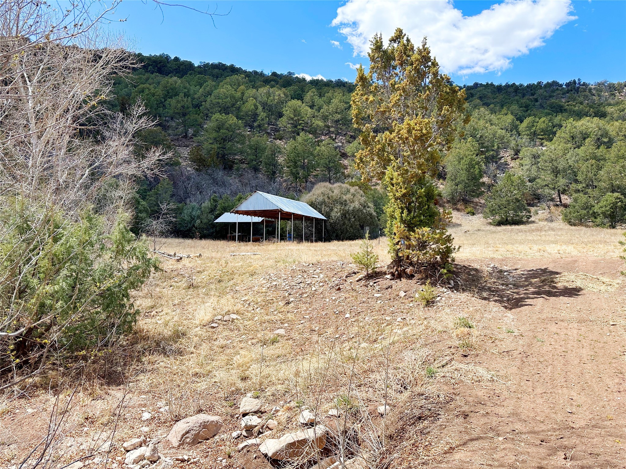 53 County Road B44c, Pecos, New Mexico image 28