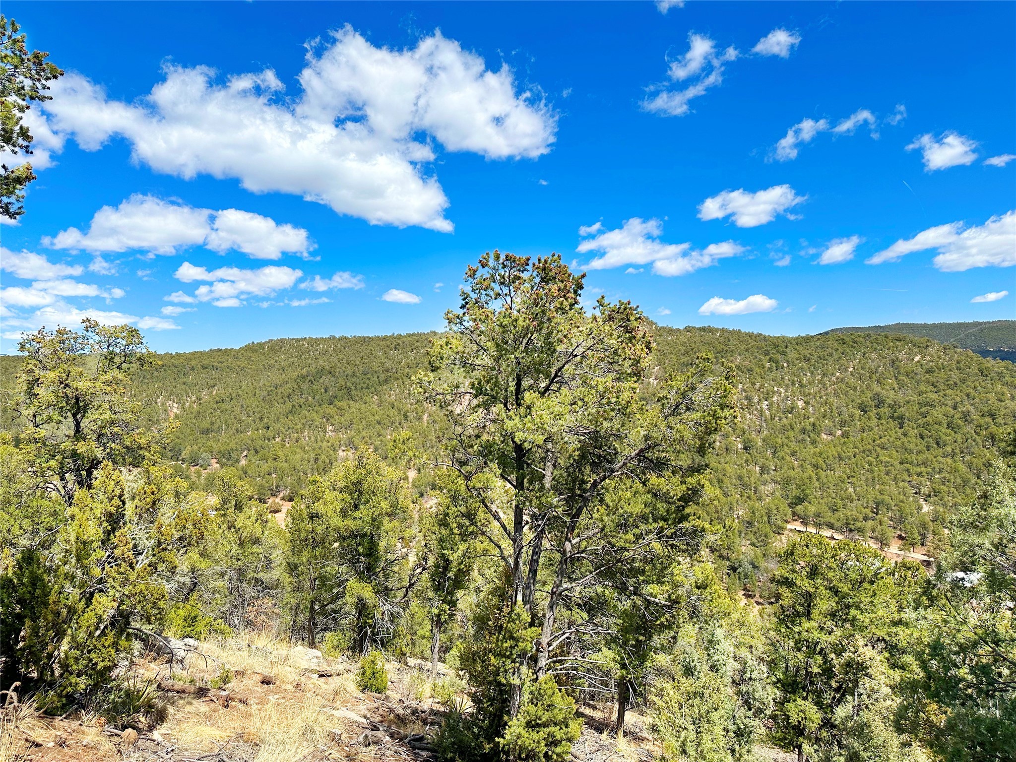 53 County Road B44c, Pecos, New Mexico image 40