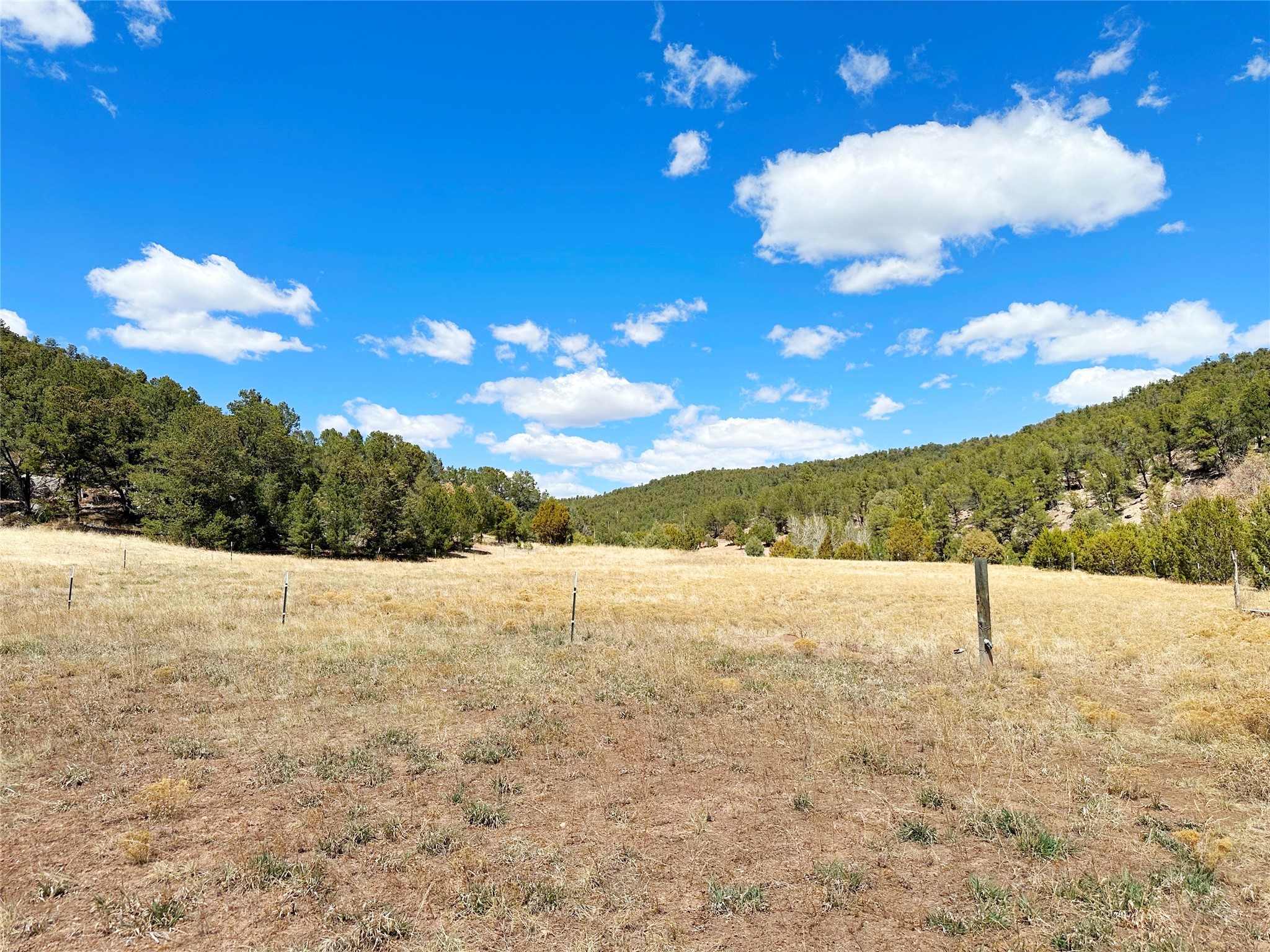 53 County Road B44c, Pecos, New Mexico image 33