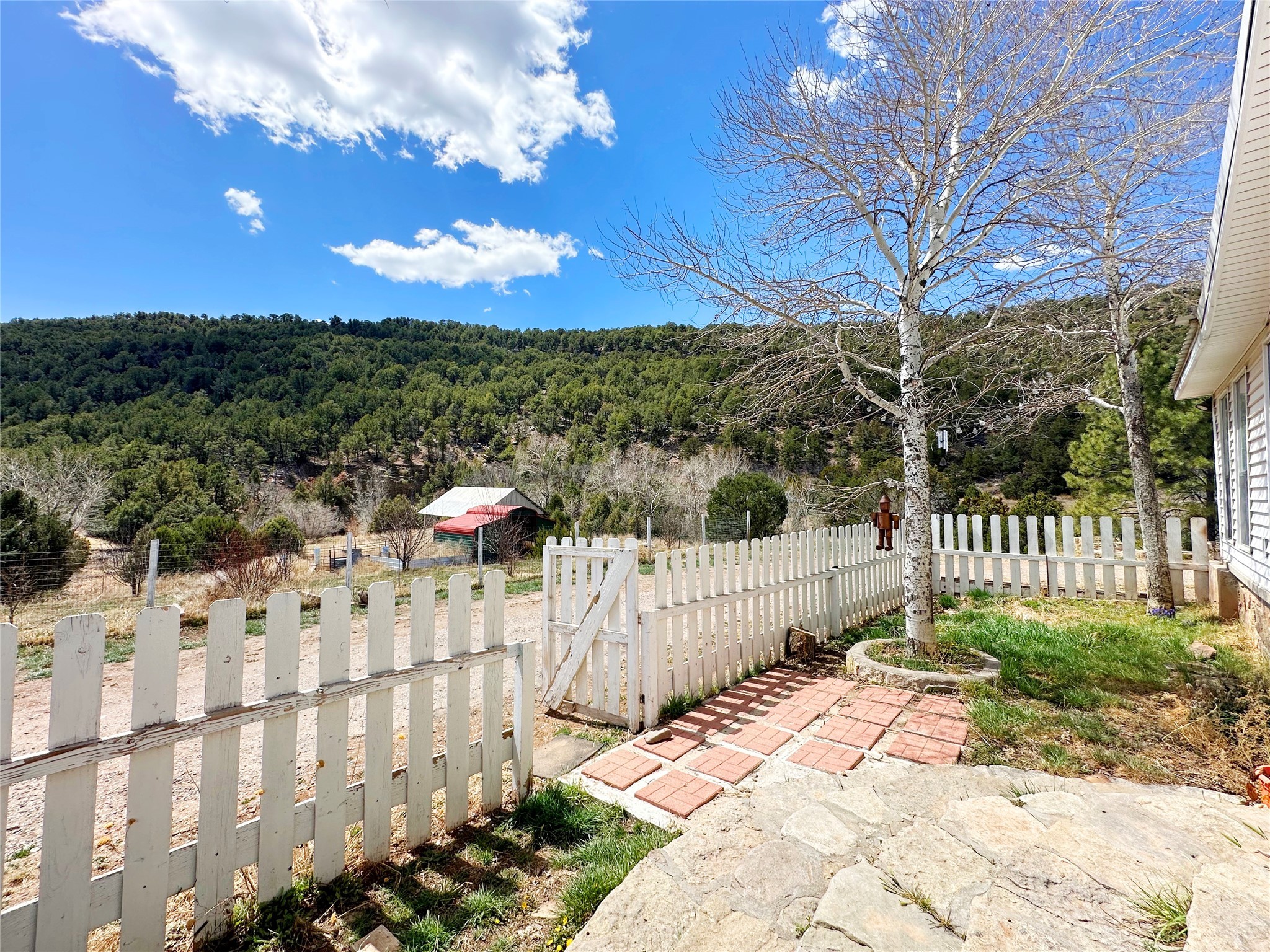 53 County Road B44c, Pecos, New Mexico image 4