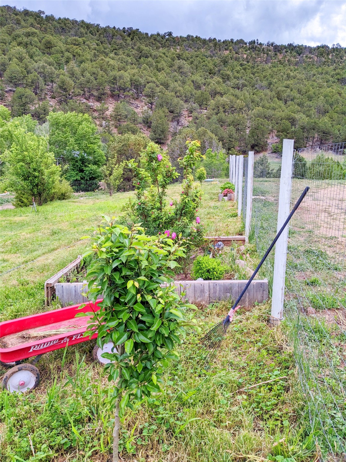53 County Road B44c, Pecos, New Mexico image 49