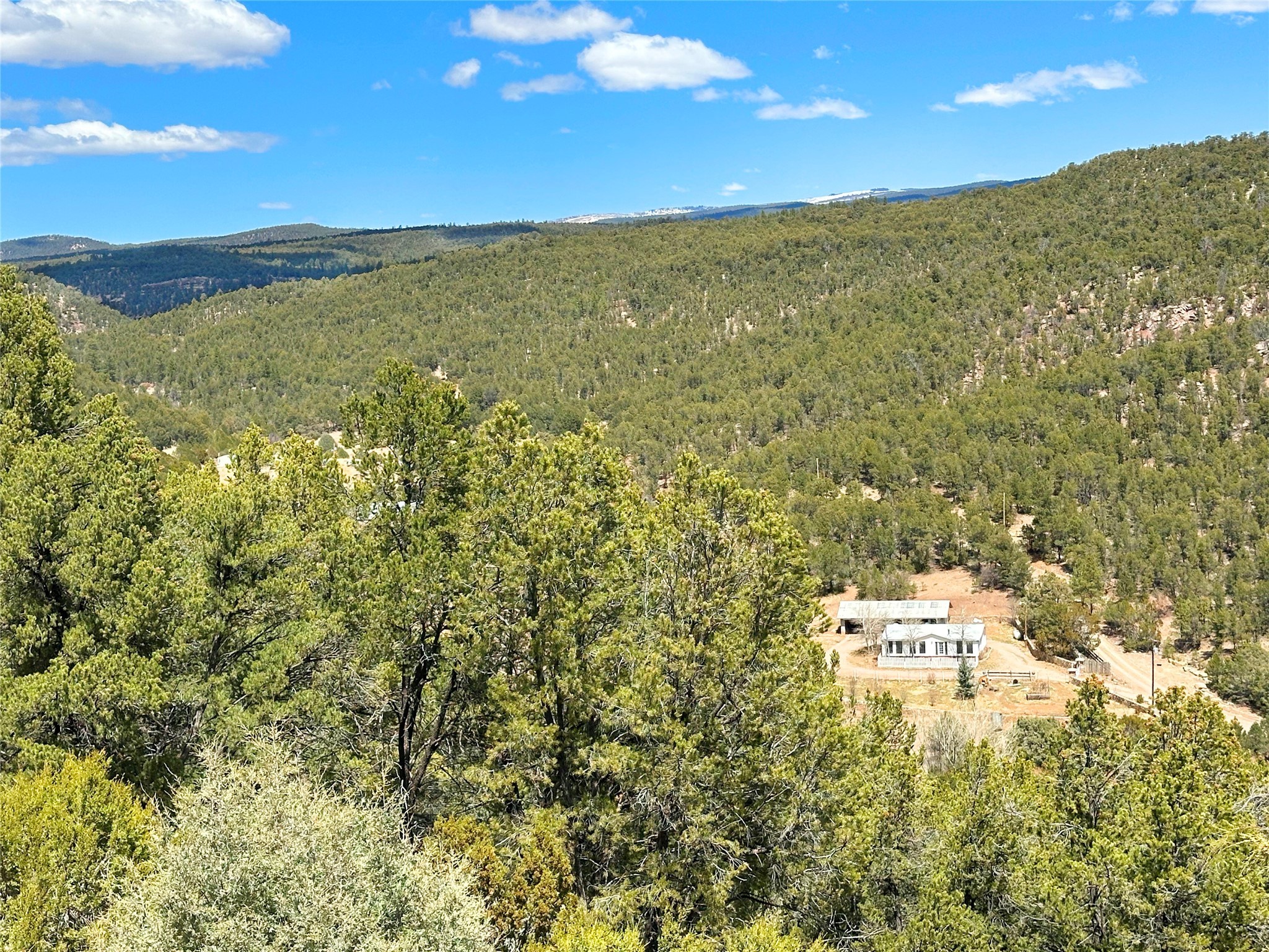 53 County Road B44c, Pecos, New Mexico image 42
