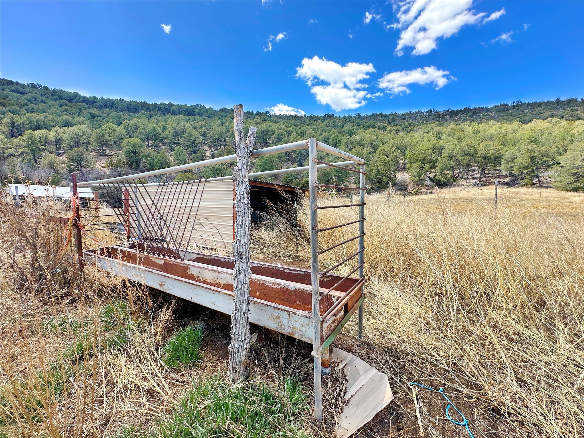 53 County Road B44c, Pecos, New Mexico image 37