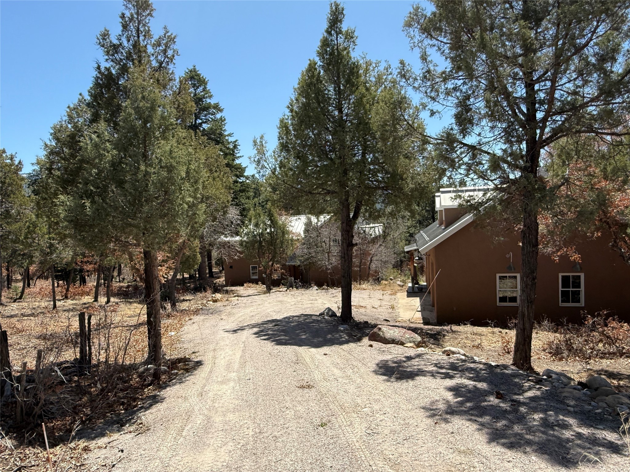 64 Pd 1754, Chama, New Mexico image 3