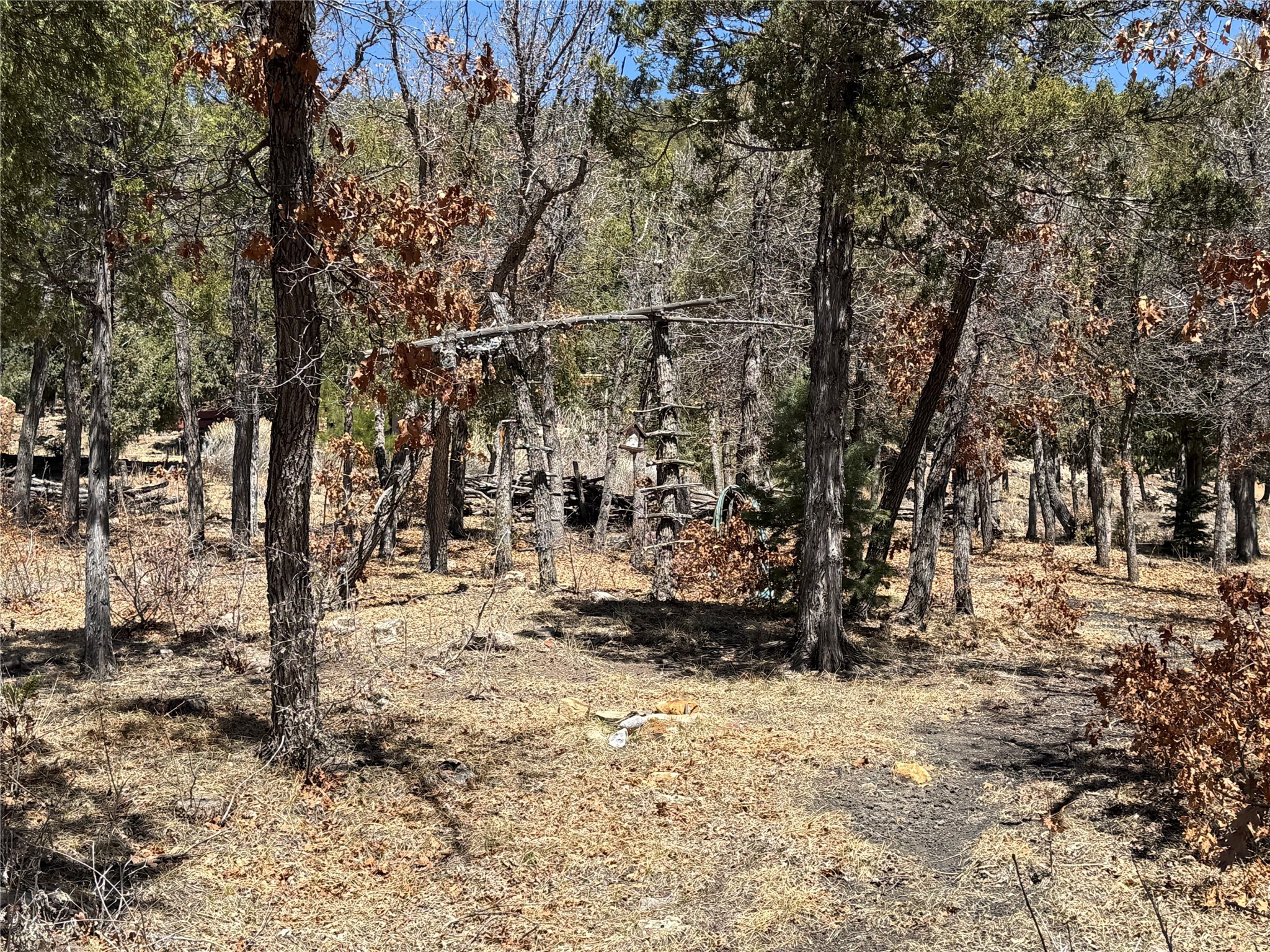 64 Pd 1754, Chama, New Mexico image 27