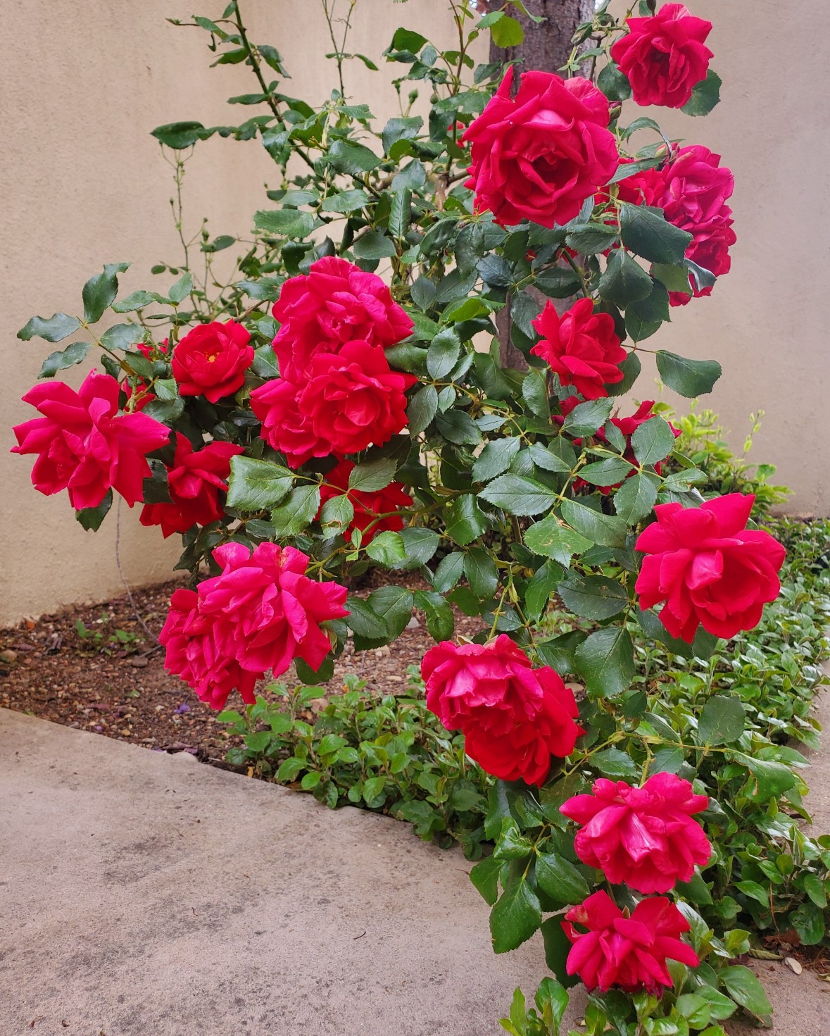 3260 La Paz Ln, Santa Fe, New Mexico image 48