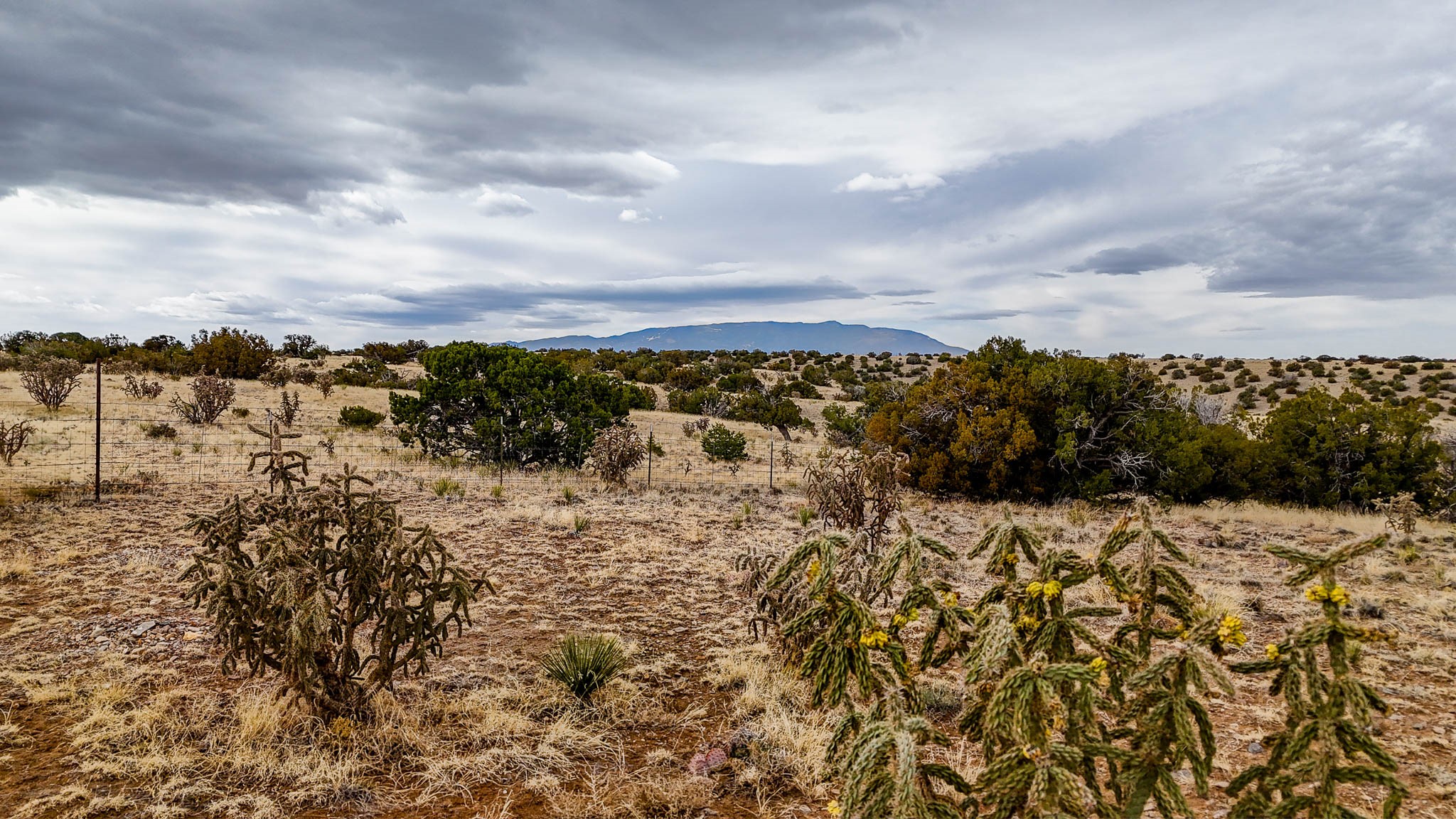 401 Red Rock Road, Cerrillos, New Mexico image 6