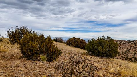 Tiny photo for 401 Red Rock Road, Cerrillos, NM 87010 (MLS # 202500636)