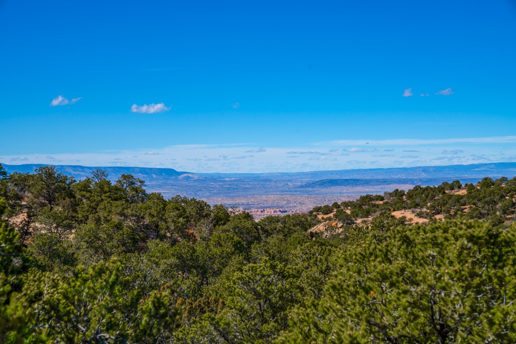 53 Acres Canon Escondido, Chimayo, New Mexico image 45