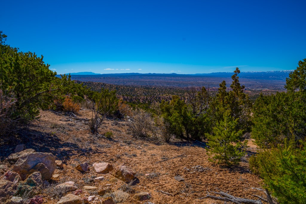 53 Acres Canon Escondido, Chimayo, New Mexico image 5