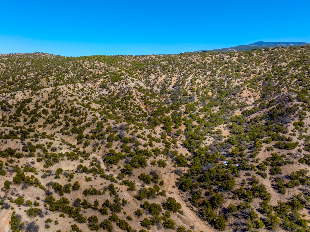 53 Acres Canon Escondido, Chimayo, New Mexico image 12