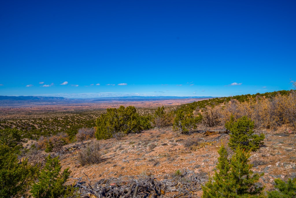 53 Acres Canon Escondido, Chimayo, New Mexico image 29