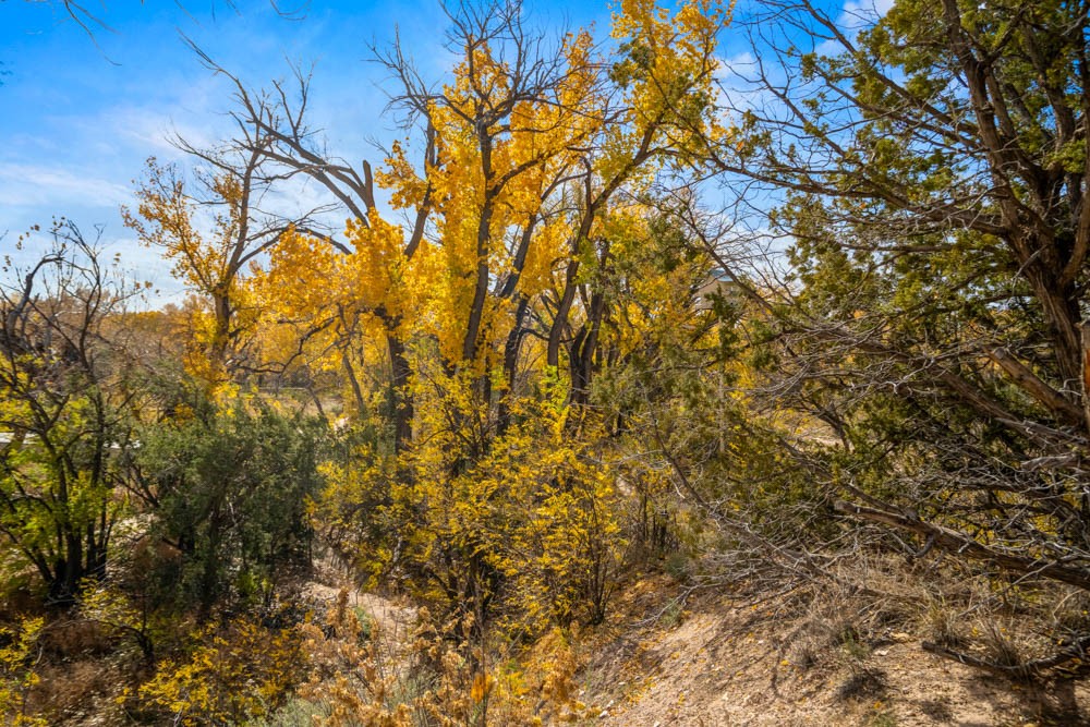 31 Loma Encantada, Santa Fe, New Mexico image 9