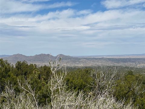 Tiny photo for 61 Vista Del Oro, Cerrillos, NM 87010 (MLS # 202501595)