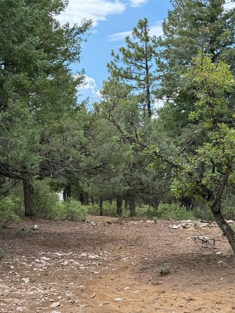 Vacant Land For Sale - UNIT 4 Lakeview<br/> Rio Arriba County, Chama, NM 87520