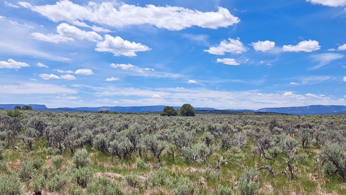 SE Mesa Tract & Cecil Cox Tract, Tierra Amarilla, New Mexico image 34