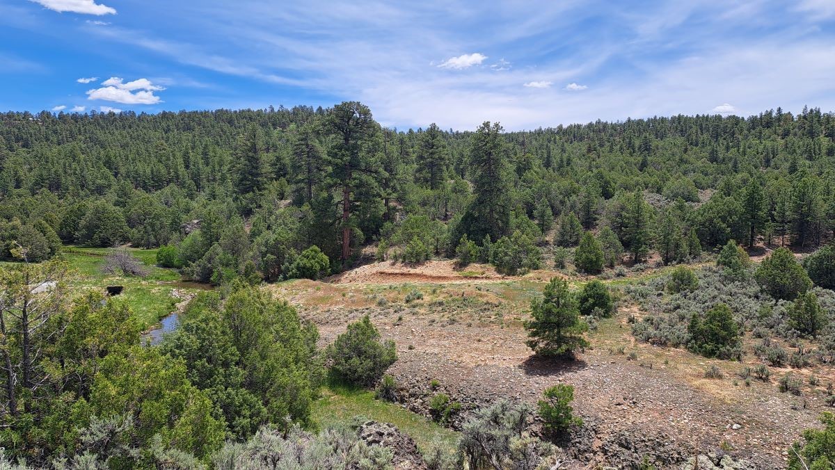 SE Mesa Tract & Cecil Cox Tract, Tierra Amarilla, New Mexico image 32