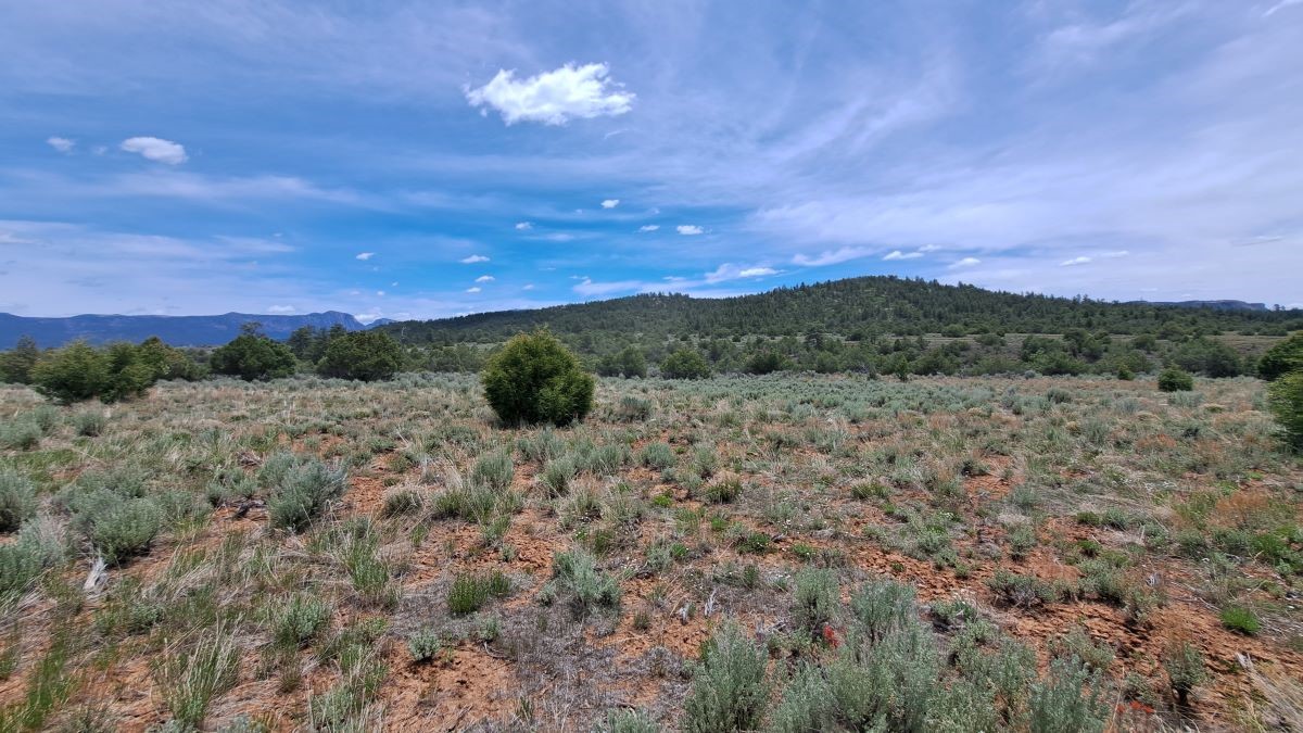 SE Mesa Tract & Cecil Cox Tract, Tierra Amarilla, New Mexico image 33