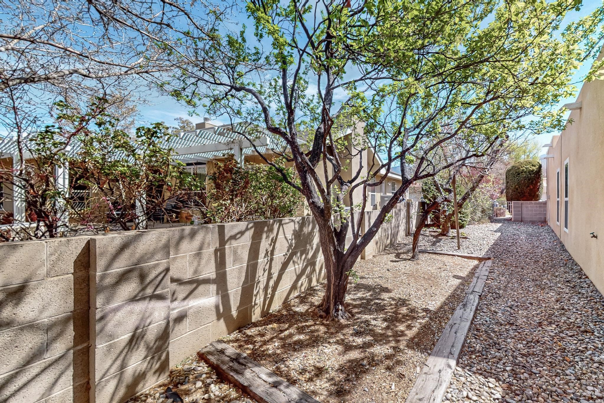 5705 Elderberry Court, Albuquerque, New Mexico image 37