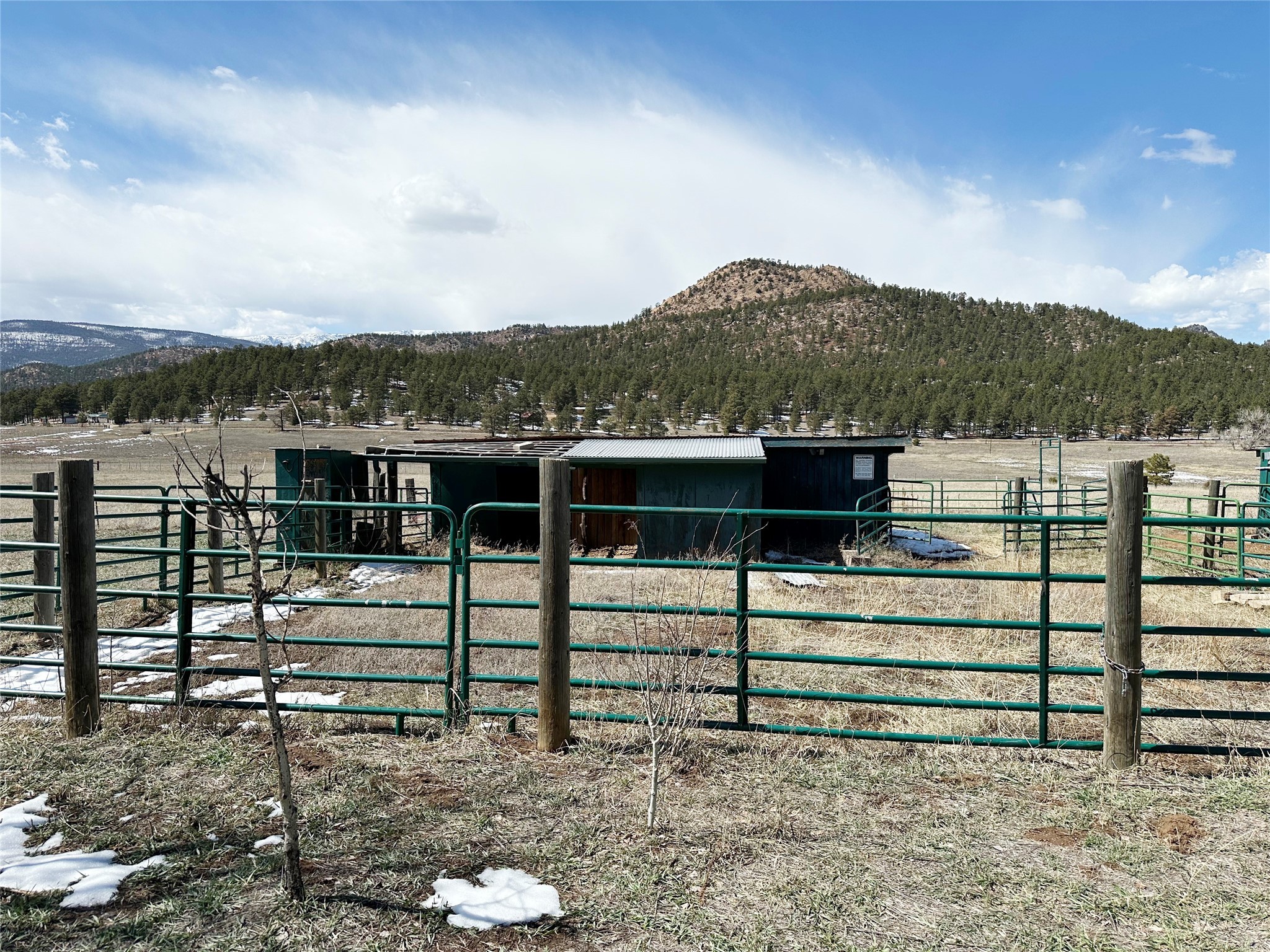 260 County Road A011, Mora, New Mexico image 24