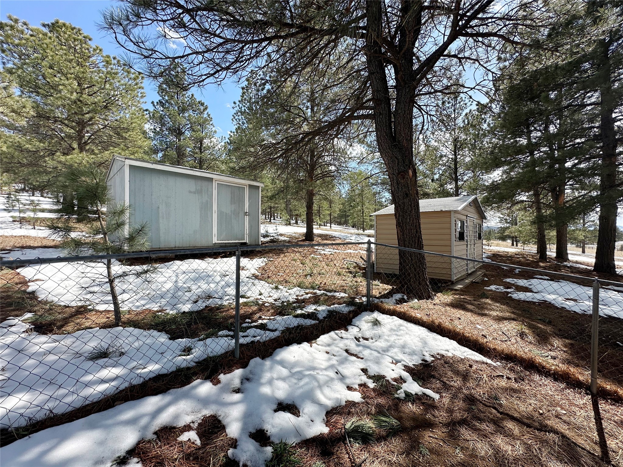 260 County Road A011, Mora, New Mexico image 27