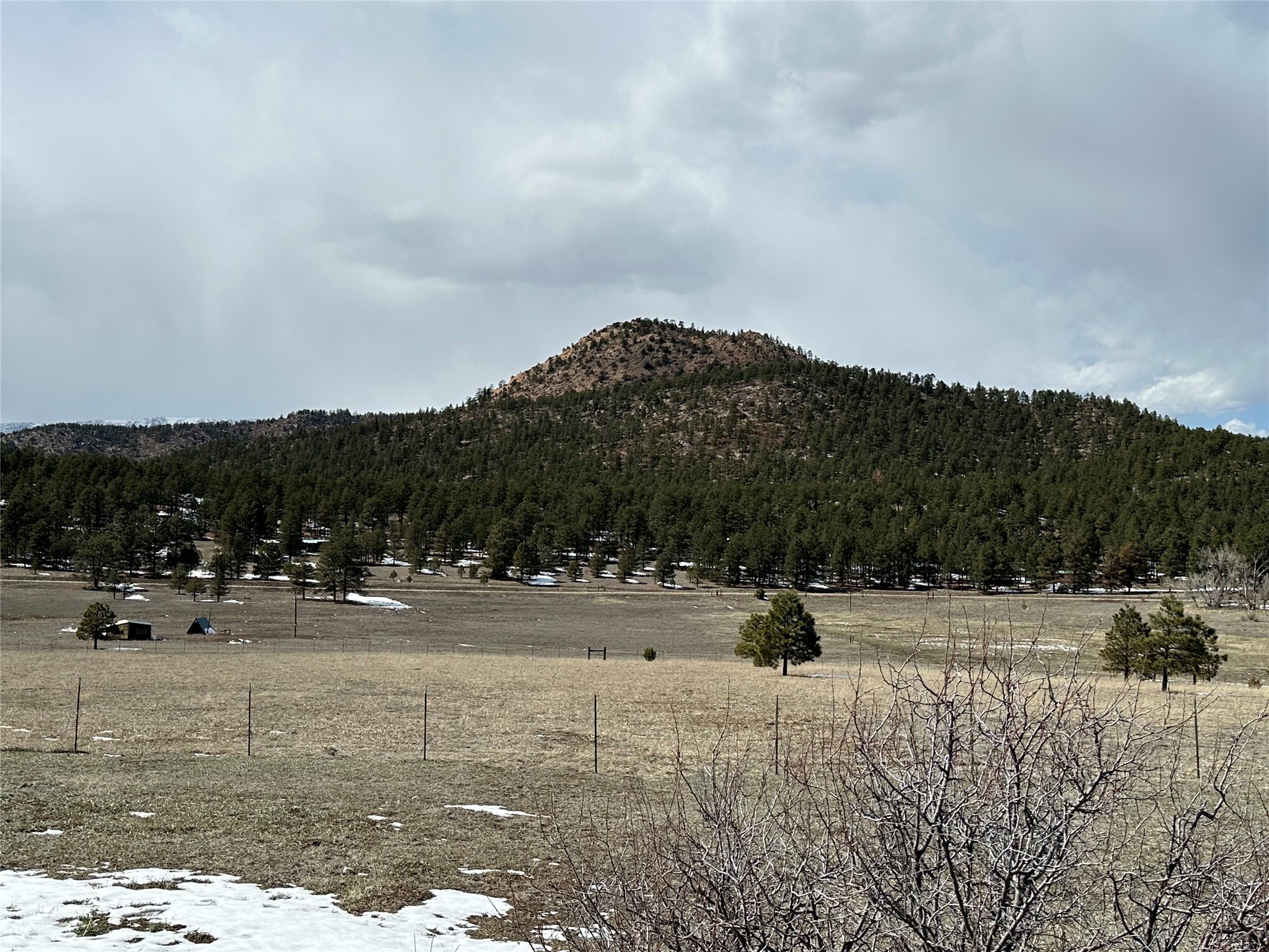 260 County Road A011, Mora, New Mexico image 31