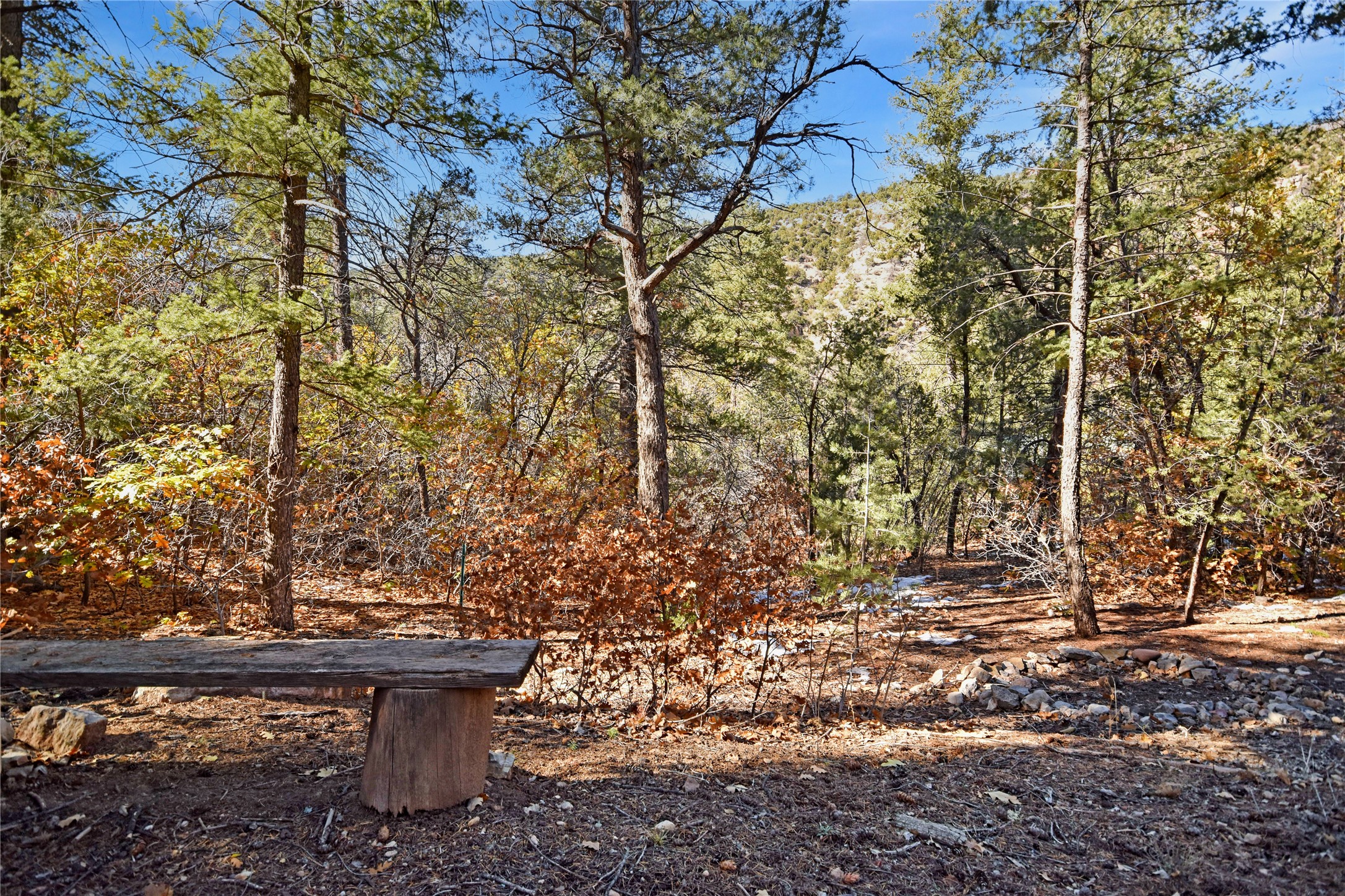 808 San Diego Loop, Jemez Springs, New Mexico image 33