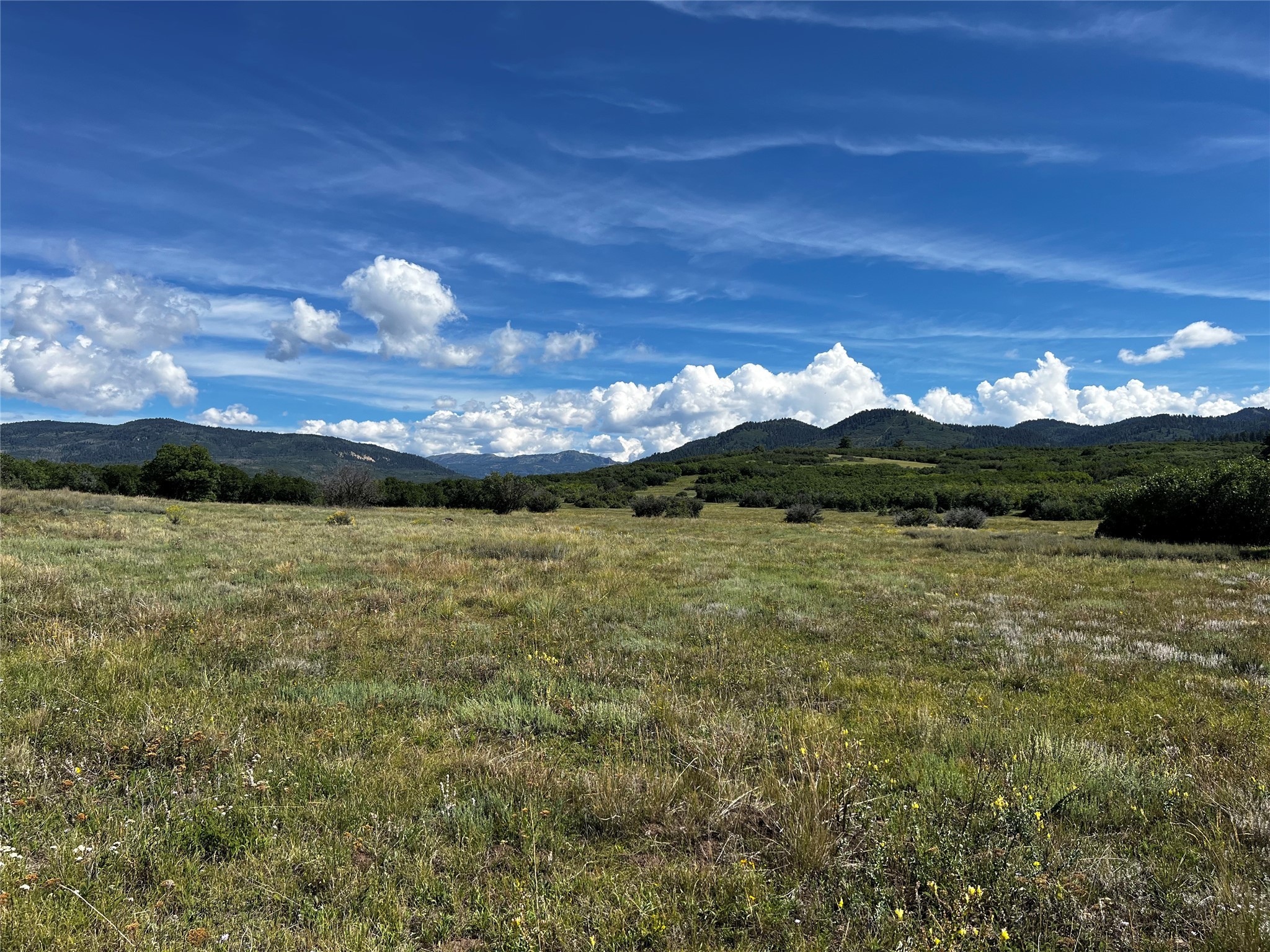 TBD Camino Alazan, Chama, New Mexico image 4