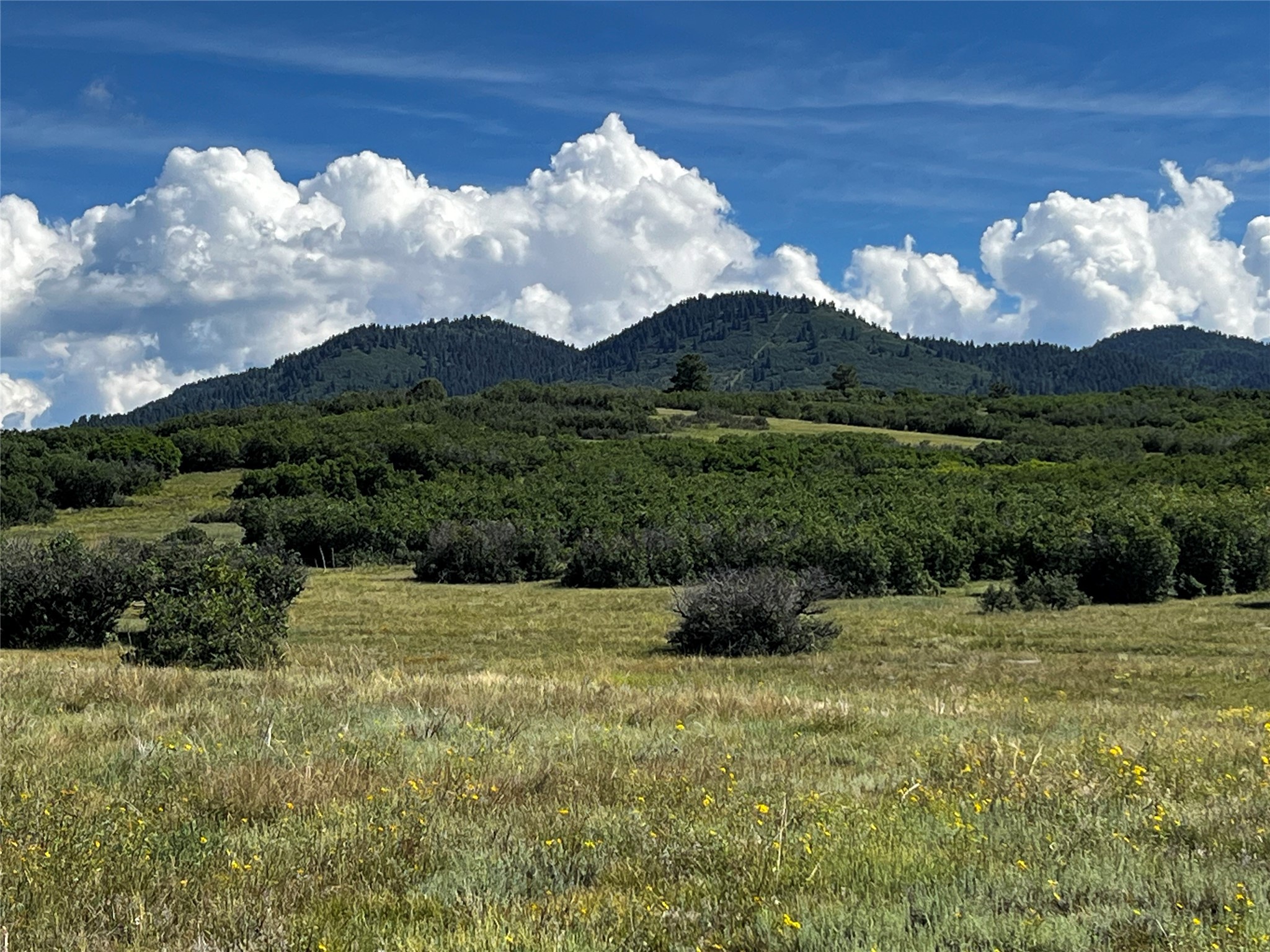 TBD Camino Alazan, Chama, New Mexico image 6